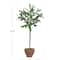 Hello Honey® 20.75" Evergreen Faux Olive Topiary Tree in Dolomite Pot